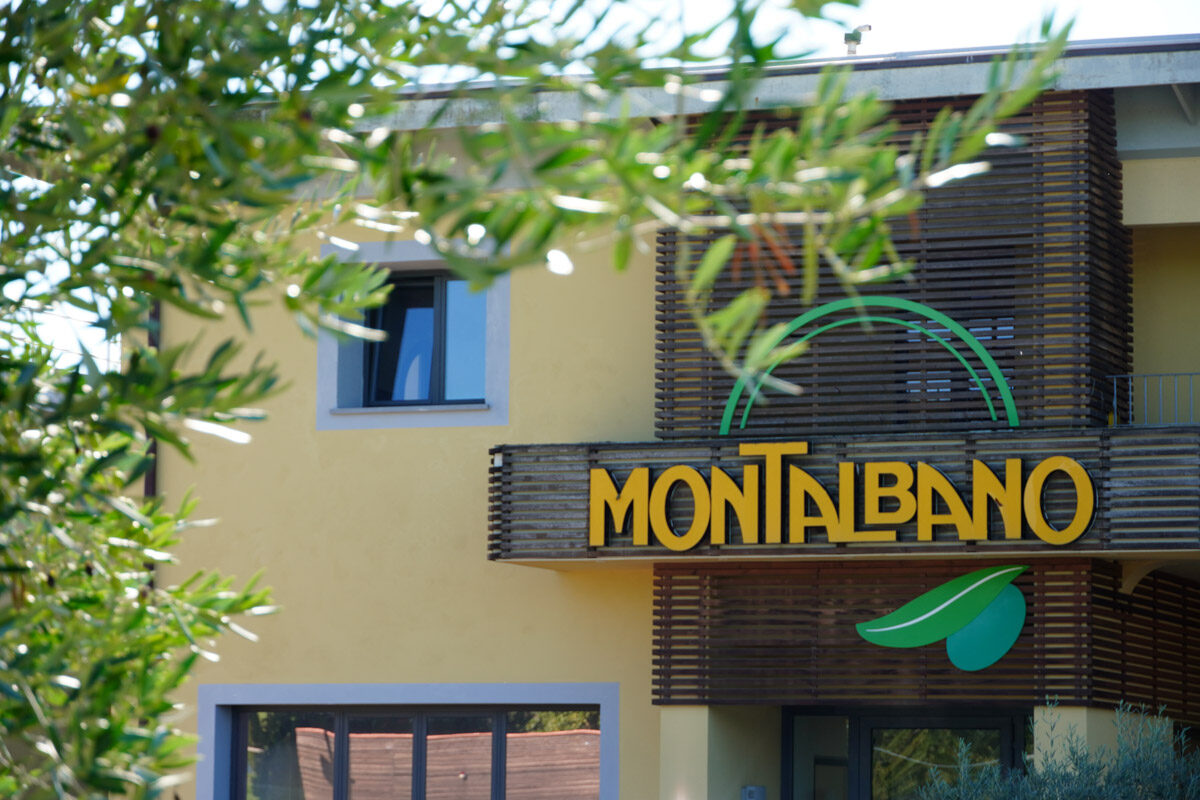 Montalbano incontro olio 1
