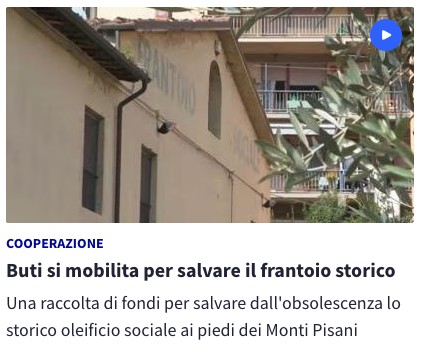 Buti investe nel suo frantoio, per preservare un olio toscano d'eccellenza 6 Screenshot 2026 04 01 alle 11.05.45