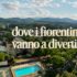 Flog arena estiva