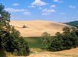 Terre dell'Etruria mietitura grano