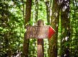 Sorgenti Vivo d'Orcia trekking