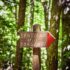 Sorgenti Vivo d'Orcia trekking
