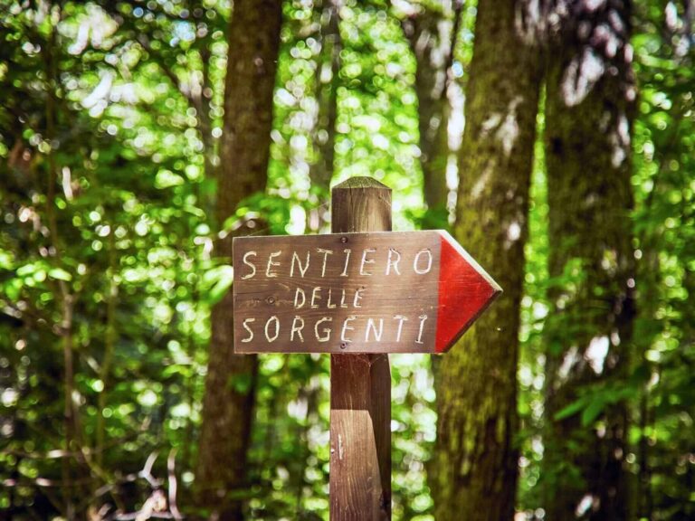 Sorgenti Vivo d'Orcia trekking