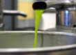 Olio nuovo