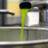 Olio nuovo