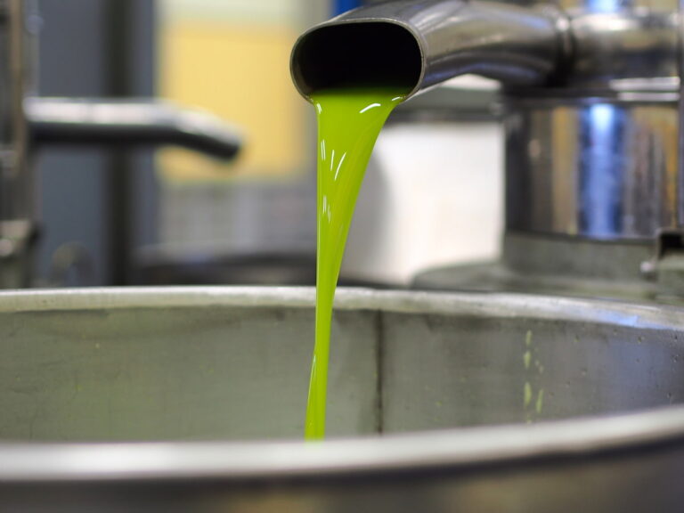 Olio nuovo Olio nuovo
