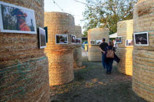 Borgo San Lorenzo Cooperazione in Festa OFF15
