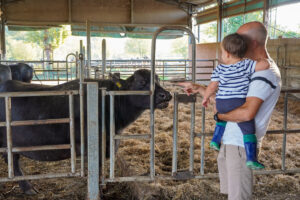 Borgo San Lorenzo Cooperazione in Festa OFF4