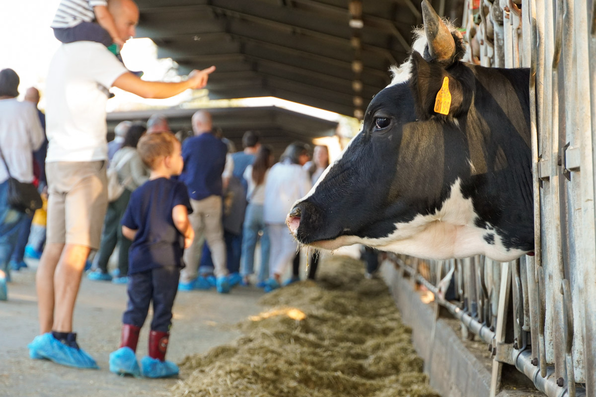 Borgo San Lorenzo Cooperazione in Festa OFF6
